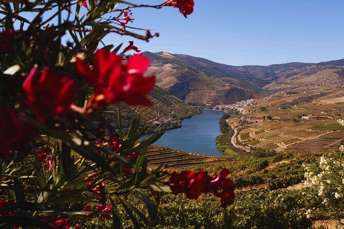 Douro Three Winery Small Group Tour with Lunch and Tastings - Frequently Asked Questions