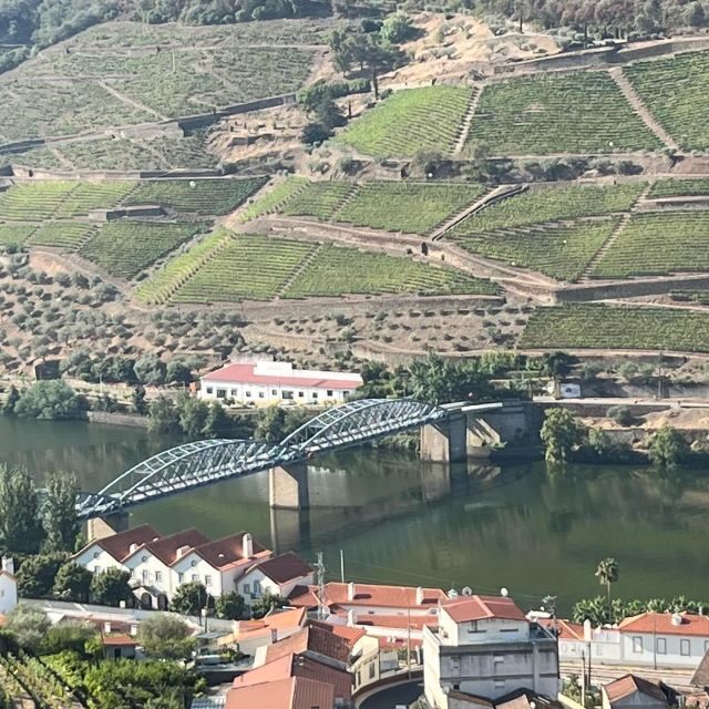 Douro Tour: Wine Tastings, Boat Ride & Manor House Lunch - Key Points