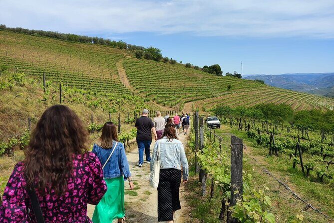 Douro Tour with Wine Tasting, River Cruise and Visit to Lamego - Key Points