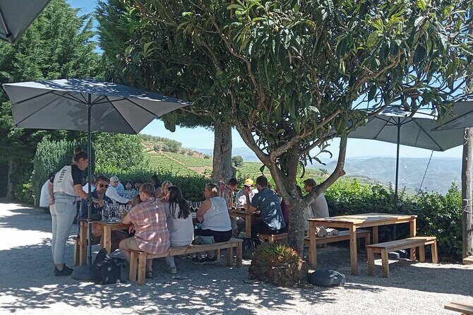 Douro Tour with Wine Tasting, River Cruise and Visit to Lamego - Who Will Benefit Most from This Tour?