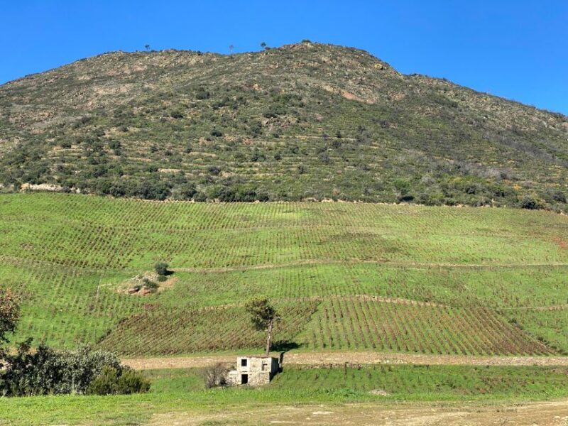 Douro triathlon from Porto - car, walk and train - Detailed Review of the Douro Triathlon from Porto