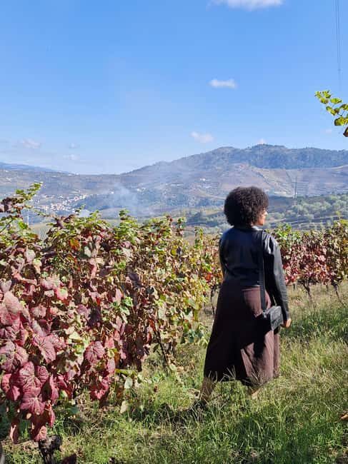 Douro Valley: 2 Vineyard Visits with Lunch and River Cruise - Detailed Breakdown of the Day