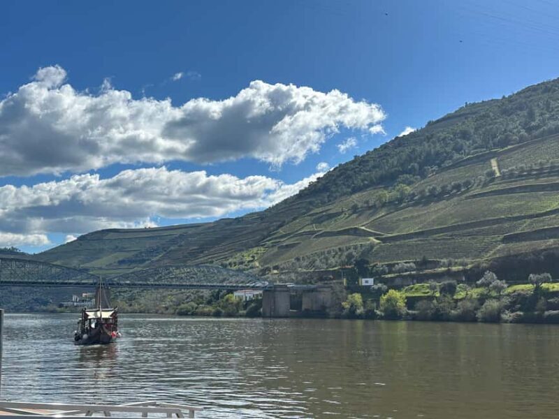 Douro Valley: 2 Vineyard Visits with Lunch and River Cruise - Practical Tips