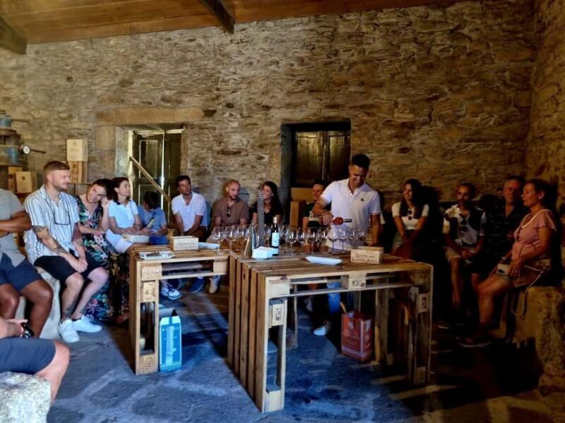 Douro Valley: 2 Vineyard Visits with Lunch and River Cruise - Final Thoughts