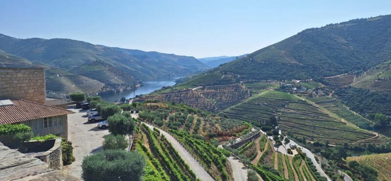Douro Valley: 2 Wineries, Lunch & Boat - Discovering Portugal’s Douro Valley: An In-Depth Review