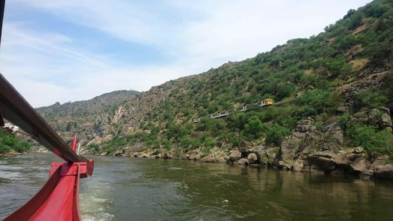 Douro Valley: 2 Wineries, Lunch & Boat - What’s Included and What You Should Know
