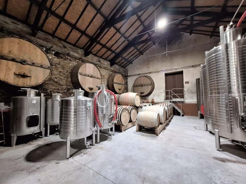 Douro Valley: 2 Wineries, Lunch & Boat - Who Is This Tour Best For?