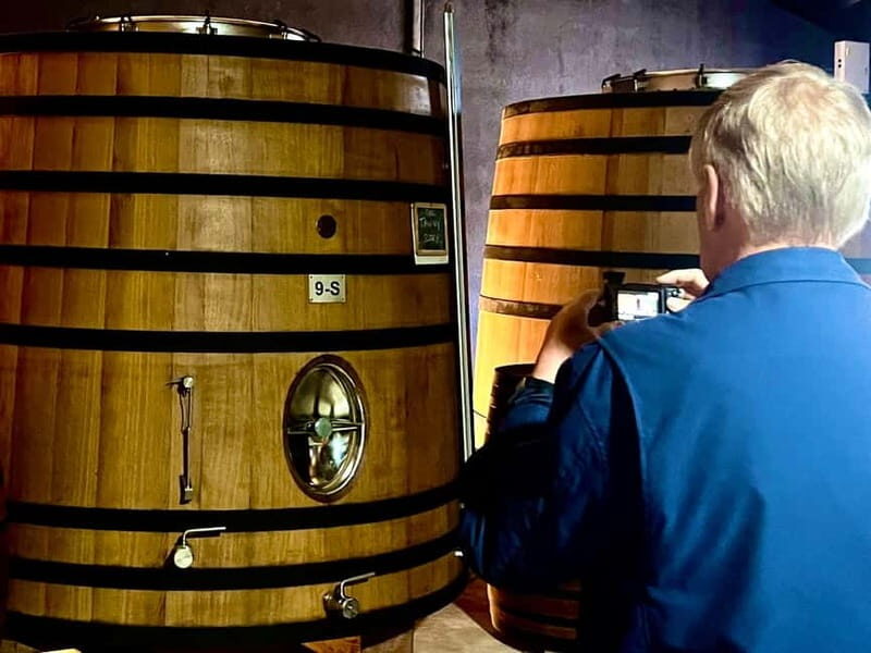 Douro Valley: A Day in Douro Valley Tasting The Best Wines - An In-Depth Look at the Douro Valley Tour