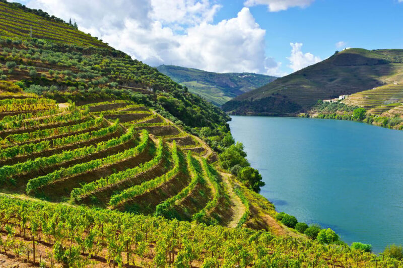 Douro Valley & Amarante - from Porto, Braga or Guimarães - An In-Depth Look at Your Douro & Amarante Day