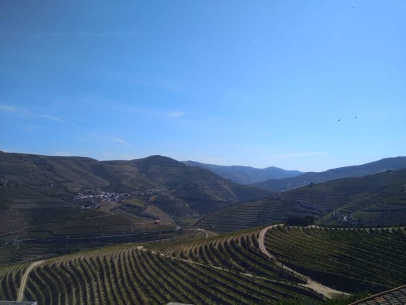Douro Valley & Amarante - from Porto, Braga or Guimarães - Why This Tour Offers Great Value