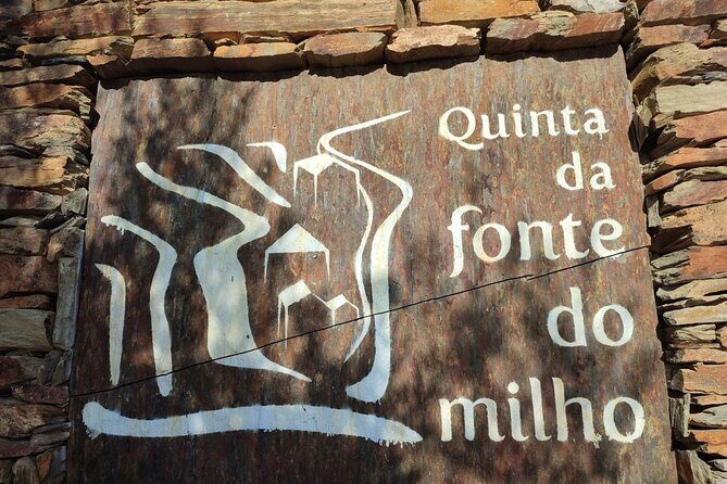 Douro Valley amazing wine Tours - Who Should Book This Tour?