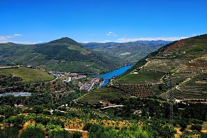 Douro Valley and Green Wine with Tastings, Chef Lunch and Boat - Final Thoughts