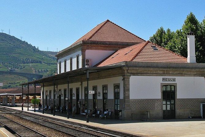 Douro Valley and Régua Panoramic Cruise with Lunch from Porto - Exploring the Douro Valley & Régua Cruise: What You Need to Know