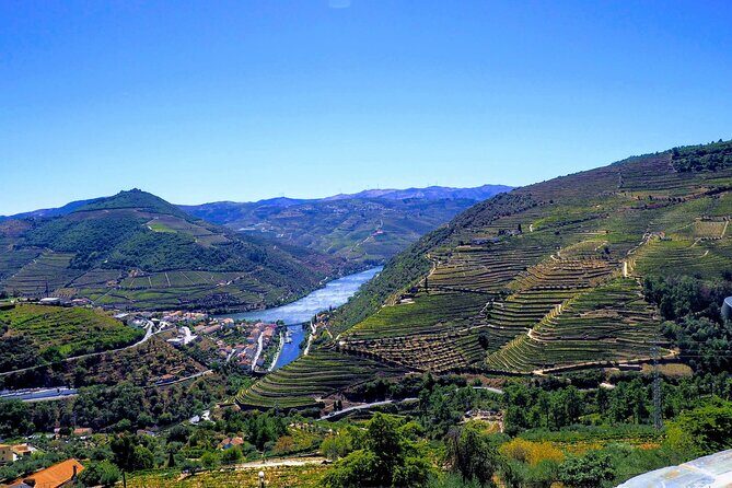 Douro Valley and Régua Panoramic Cruise with Lunch from Porto - Who Will Love This Tour?