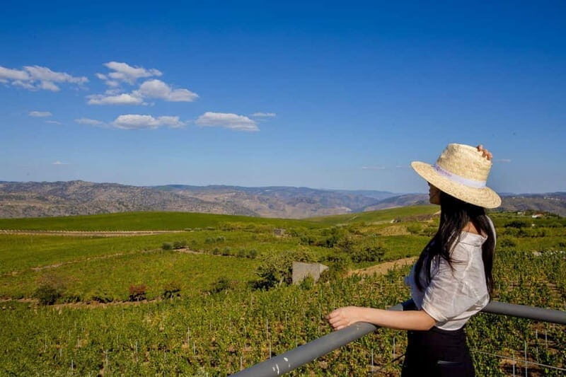 Douro Valley: Bottled VS Barrel Aged Port Wine - Douro Valley: Bottled VS Barrel Aged Port Wine — A Deep Dive into Portugal’s Most Famous Fortified Wine