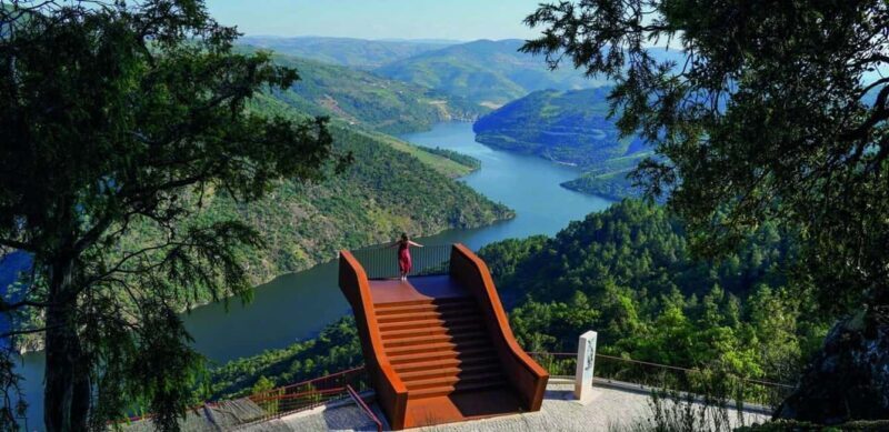 Douro Valley: Cruise & vineyard discovery from Porto or Aveiro - A Scenic Journey into Portugal’s Douro Valley