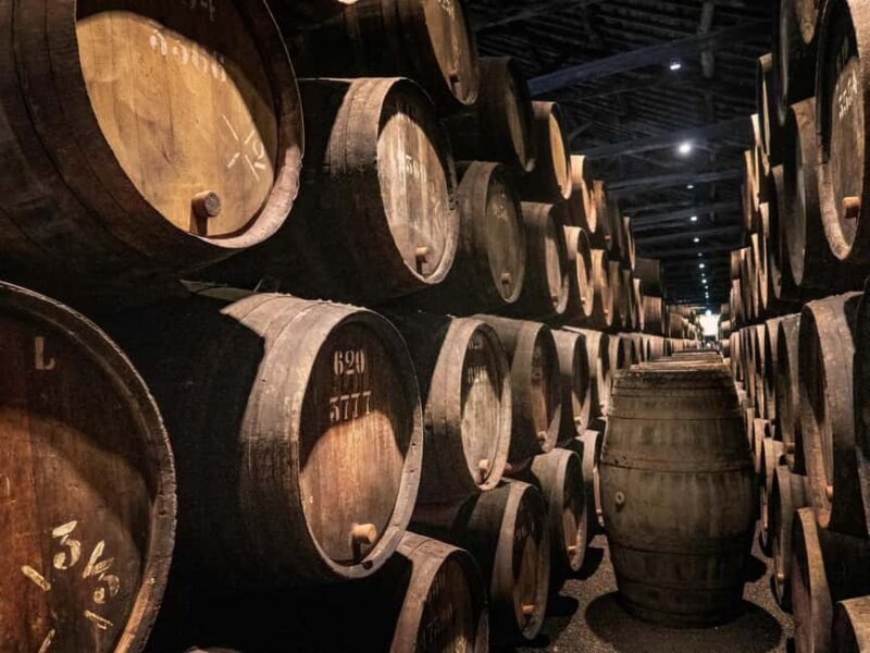 Douro Valley: Cruise & vineyard discovery from Porto or Aveiro - Final Thoughts