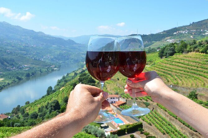 Douro Valley Delights Wine Tasting and Scenic Vistas - Exploring the Douro Valley Delights: A Detailed Review of the Wine Tasting and Scenic Vistas Tour