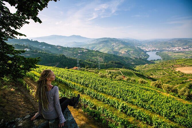 Douro Valley Delights Wine Tasting and Scenic Vistas - Key Points