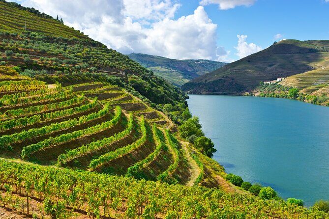 Douro Valley Delights Wine Tasting and Scenic Vistas - Possible Drawbacks or Considerations