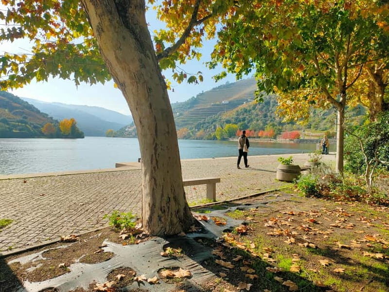 Douro Valley: Discover the Wine Region with Tastings. - Who Should Consider This Tour?