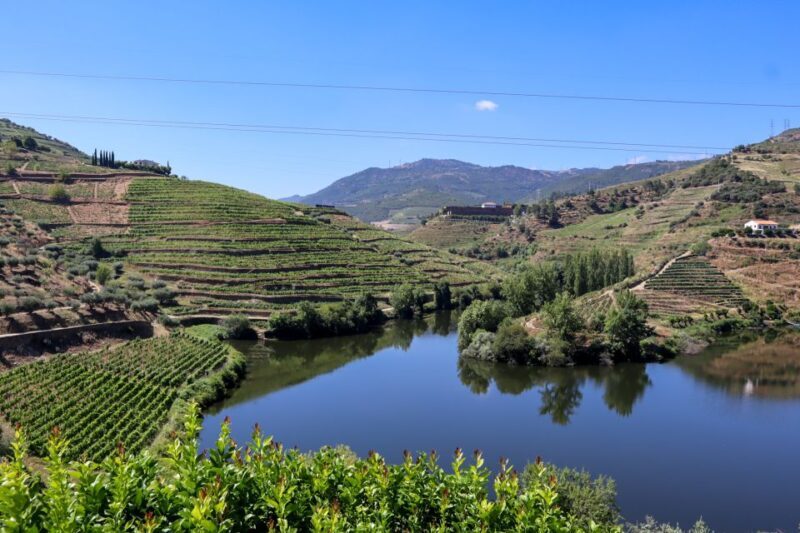 Douro Valley: Douro Valley Tour Including 3 Wineries - Discovering Portugal’s Gem: The Douro Valley Tour Including 3 Wineries