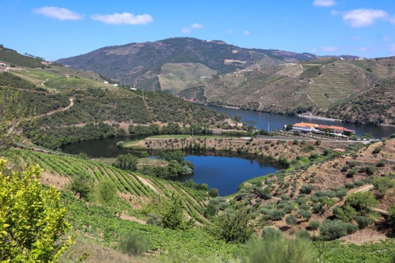 Douro Valley: Douro Valley Tour Including 3 Wineries - Who Will Love This Tour?