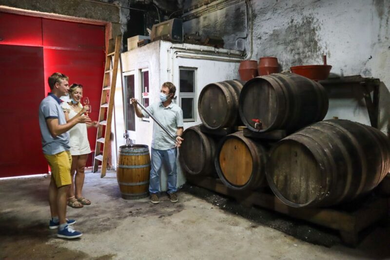 Douro Valley: Douro Valley Tour Including 3 Wineries - Final Thoughts: Is It Worth Your While?