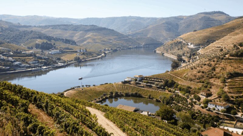 Douro Valley : Exclusive and Sustainable experience - Detailed Breakdown of the Itinerary