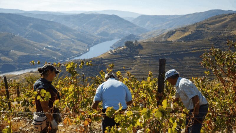 Douro Valley : Exclusive and Sustainable experience - FAQs