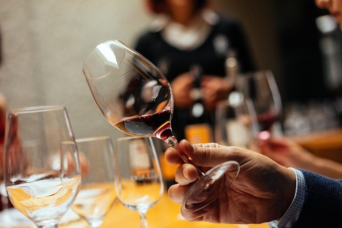 Douro Valley EXCLUSIVE Private Day Trip by Car with Boat Included - The Itinerary in Detail: What To Expect
