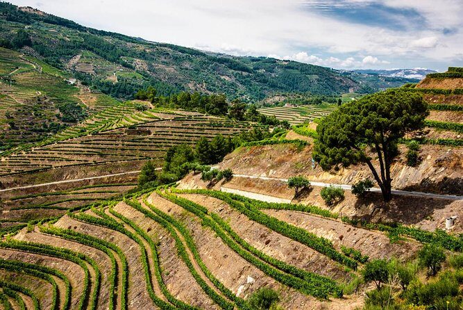 Douro Valley EXCLUSIVE Private Day Trip by Car with Boat Included - Authenticity, Guides, and Personal Touches