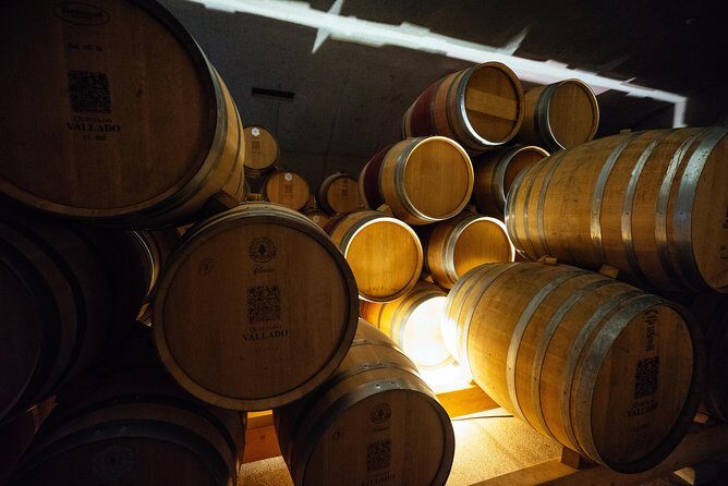 Douro Valley EXCLUSIVE Private Day Trip by Car with Boat Included - Who Is This Tour Best For?