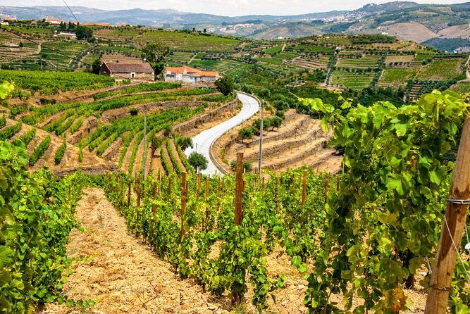 Douro Valley EXCLUSIVE Private Day Trip by Car with Boat Included - FAQ