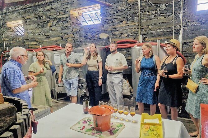 Douro Valley-Expert Guide-Boat-Lunch-Tastings Premium Service - The First Stop: Miradouro Torguiano Do São Cristóvão