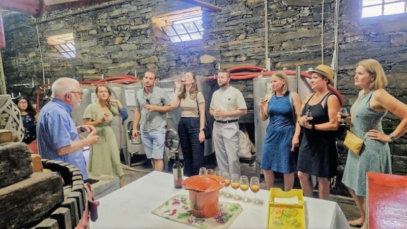 Douro Valley-Expert Guide-Boat-Lunch-Tastings PremiumService - Key Points