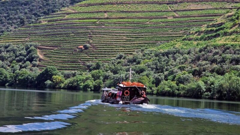 Douro Valley-Expert Guide-Boat-Lunch-Tastings PremiumService - Why This Tour Stands Out for Travelers