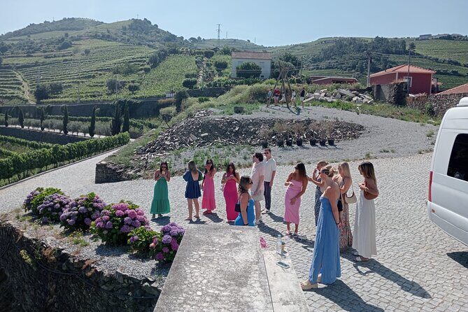 Douro Valley for Wine Lovers with Visit to 3 Vineyards and Lunch at a Winery - A Deeper Look into the Douro Valley Tour