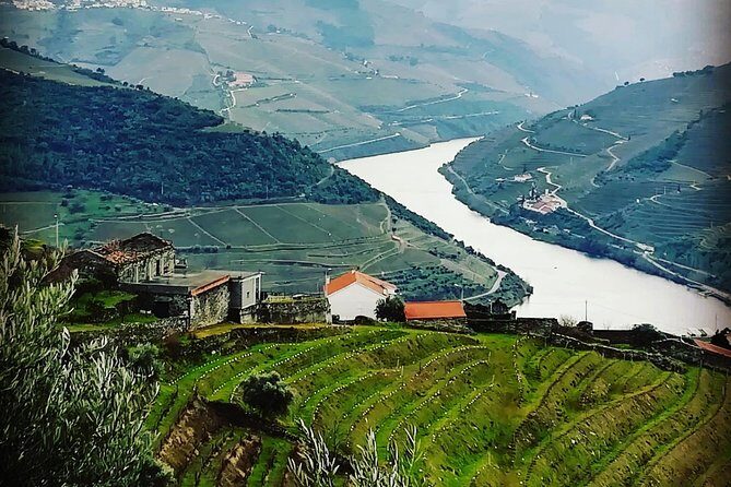 Douro Valley from Porto with Wineries, Lunch and Boat Trip - An In-Depth Look at the Douro Valley Tour from Porto
