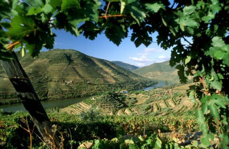 Douro Valley: Full-Day Private Tour from Porto - Douro Valley: Full-Day Private Tour from Porto