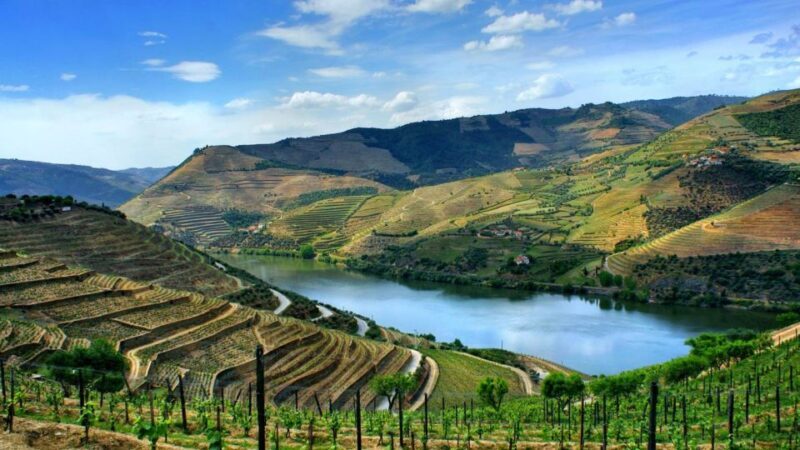 Douro Valley: Full-Day Private Tour from Porto - Key Points