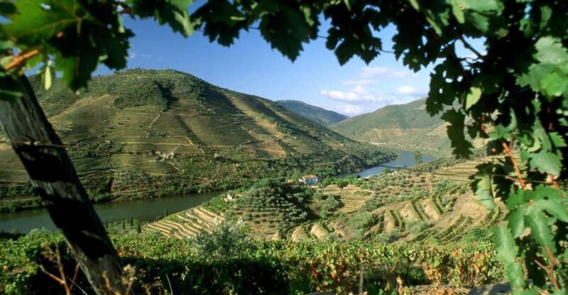 Douro Valley: Full-Day Private Tour from Porto - Final Thoughts