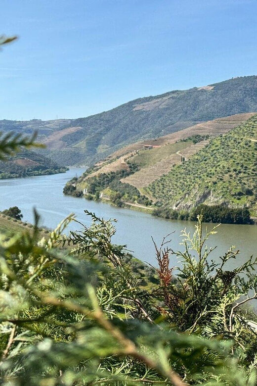 Douro Valley Full Day Tour From Lisbon - Exploring Portugal’s Crown Jewel: The Douro Valley