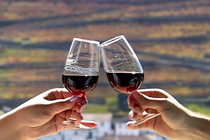 Douro Valley Full Day Tour with River Cruise and Wine Tastings - Practical Details and Tips