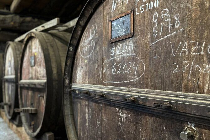 Douro Valley Full Day Tour with River Cruise and Wine Tastings - FAQ
