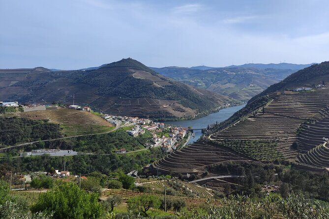 Douro Valley full experience with limited small group - Who Is This Tour Best Suited For?