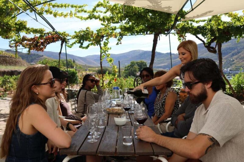 Douro Valley: Half-Day, 1 winery & 1-h cruise with cocktail - Frequently Asked Questions (FAQs)