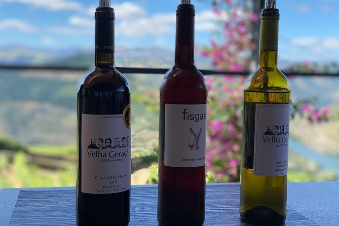 Douro Valley in a Tesla - The Experience in Detail