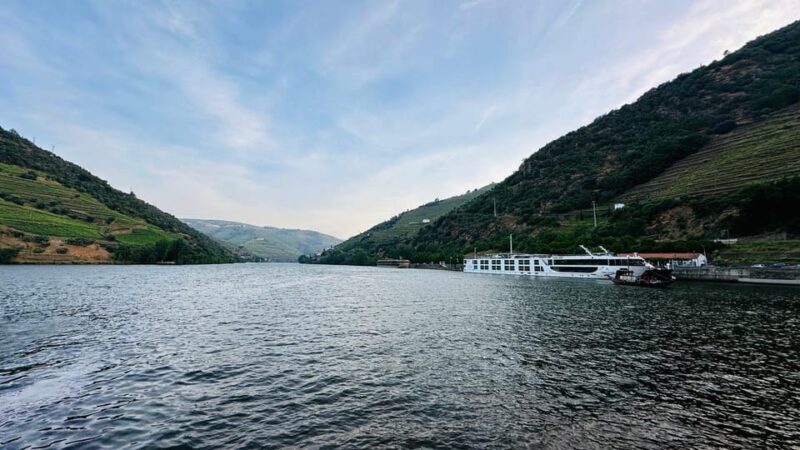 Douro Valley Journey: 4 Cities and Wine Estate All-Included - An In-Depth Look at Your Douro Valley Day