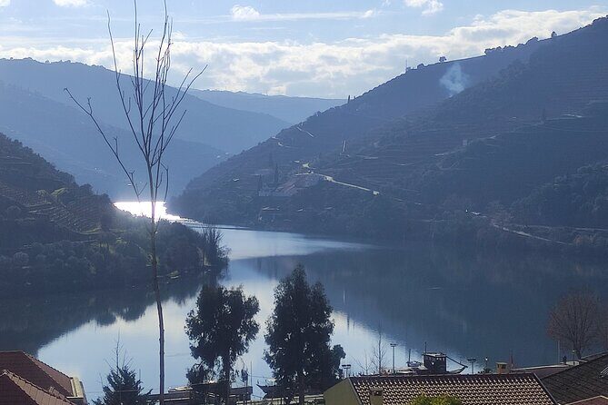 Douro valley Majestic - Authenticity and Value
